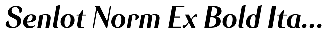 Senlot Norm Ex Bold Italic